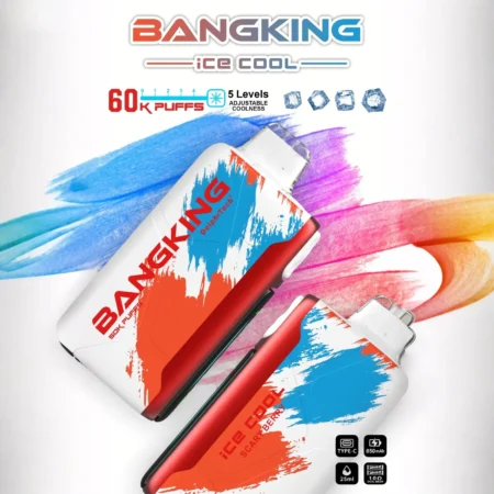 Bang King 60000 拋棄式電子煙|LED 螢幕顯示 × 五檔冰度調節|超長續航大容量・多款口味 Bang King 60000 拋棄式電子煙|LED 螢幕顯示 × 五檔冰度調節|超長續航大容量・多款口味